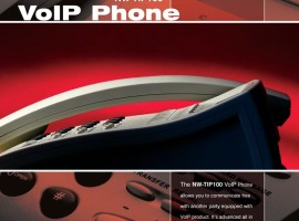 New World Telecom Promo Flyer, Mississauga